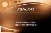 Ilmu Gizi-Mineral