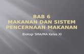 Biologi bab 6 kelas XI