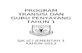 Program transisi  2013