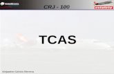 6 periodico02 2010 tcas