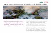 Case study memantau-kebakaran-hutan-di-sumatera-selatan