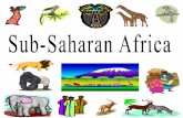 Sub saharan africa