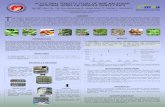 Poster- Acute Oral Tox Study of 9 Malaysian Medicinal Herbs on S. Dawley rats