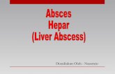 Absces Hepar - (Liver Abscess)