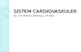 Sistem Cardiovaskuler_Materi Dosen IKM