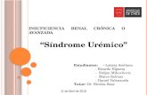 Sindrome uremico grupo 5