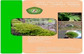 Laporan Praktikum Lapangan Botani Tingkat Rendah - Identifikasi Tumbuhan Tingkat Rendah