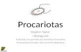Celulas procariotas