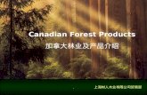 Canadian Lumber