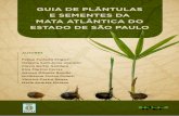 Guia plantulas e sementes da mata atlantica do estado de sao paulo