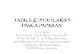 Rabies : approach diagnostic and  prophylaxis