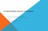 Plataforma aulas virtuales fabian
