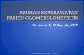 Ns. Sunardi, M.Kep.,Sp - Nardinursing's · PDF fileGagal ginjal post partum, Goodpasture’s syndrome 10.Wegner’s granulomatosis 11.Polyarteritis nodusa, Hemolitic uremic sindrome