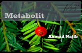 Ahmad Najib - Nadjeeb's Blog · PDF fileMetabolit adalah hasil dari metabolisme Metabolisme adalah proses pada ... Anabolisme Pembentukan