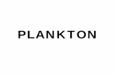 PLANKTON - coremap.or.idcoremap.or.id/downloads/PLANKTON_Ceramah_Pers.pdf · •tikoplankton plankton menurut daur hidupnya. surya tumbuhan (fitoplankton) herbivor ... contoh plankton.