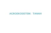 AGROEKOSISTEM: TANAH - …syekhfanismd.lecture.ub.ac.id/files/2013/04/1.-FUNGSI-TANAH-sfn.pdf · Biota tanah •Tanpa sirkus kehidupan dalam tanah, tanaman tidak akan mampu hidup