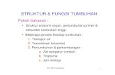 STRUKTUR & FUNGSI TUMBUHAN - · PDF fileyKolenkima : jaringan penguat pada organ yang masih muda & tumbuhan herba. Sel hidup, berbentuk panjang, dinding sel lebih tebal dari dinding