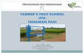 FARMER’S FIELD SCHOOL - padi.mardi.gov.mypadi.mardi.gov.my/dokumen/slide/L15 Farmers Field School FFS Paddy... · Amali 2. Mengikut Kalender Tanaman 3. Fleksibel - ... 3.Tapak Semaian