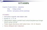VITAMIN - Mhanafi123's Blog · PDF fileVita : hidup (vital) ... >> di hati ikan air tawar 2. ... utk Ca Binding Prot yg spesifik Translasi Ca BP di riboso m . FUNGSI VIT. D