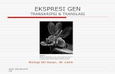 EKSPRESI GEN -   · PDF fileOverview dari ‘protein sorting
