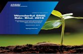 KPMG IN MALAYSIA Wonderful SME Sdn. Bhd. 2016 · PDF fileKPMG IN MALAYSIA Wonderful SME Sdn. Bhd. 2016 Illustrative Financial Statements for Malaysian Private Entities Reporting Standard