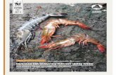 Full page photo -   · PDF fileMencegah dan Mengatasi Penyakit Udang Windu Pada Tambak ... sangat kecil penyebab penyakit Protozoa ... tambak dilingkari satu saluran ikan