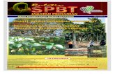 DISAHKAN - doa.gov.my download images... · Nangka Tekam yellow J33 Kebun Bunga & Semaian YKK 2,570 2,570 Tanaman Varieti Kod Pendaftaran Varieti ... Kebun Sayur, Bukit Bakri, 84000