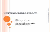 SENYAWA KARBOHIDRAT - tip.ub.ac.idtip.ub.ac.id/wp-content/uploads/2016/08/PBA4-Karbohidrat... · Karakteristik Beberapa Tepung Sumber Pati Kadar ... tanin, racun HCN pada ubi ...