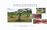 KANDUNGAN - Teratak Tioman · PDF file4.2 Pilihan Pokok Induk ... (pada harga RM2.40/kg ... Kandungan zat makanan bagi pitaya merah adalah seperti di Jadual 2. Tanaman ini mempunyai