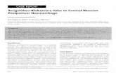 Sengstaken-Blakemore Tube to Control Massive · PDF fileSengstaken-BlakemoreTube to Control Massive Postpartum Haemorrhage R P ]aparaj, MOG*, S Raman, FRCOG** ... a Sengstaken-Blakemore
