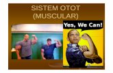 Sistem Otot (Muscular) ppt - staff.unila.ac.idstaff.unila.ac.id/gnugroho/files/2013/11/Sistem-Otot-Muscular1.pdfTendon, Tendon, ligamen ligamen dandan cartilagocartilago. FUNGSI OTOT