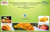 POTENSI MANGGA DI MALAYSIA - mada.gov.my · KELUASAN DAN PENGELUARAN TANAMAN MANGGA, 2011-2013 ... Sumber: Data pengeluaran: ... CHINA 0.01 133.00 3,115.00