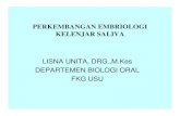 PERKEMBANGAN KELENJAR SALIVA [Read-Only]ocw.usu.ac.id/course/download/6110000045-biologi-oral-ii/...• Ectomesenchyme oral mempunyai peranan esensial dalam differensiasi kel. saliva,