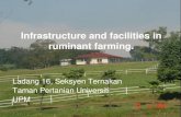 Infrastructure and facilities in ruminant farming. and...Ruminan Kecil dan pastura –Pn Aznida Che Alli (Peg. Pertanian G41) STRUKTUR ORGANISASI BAHAGIAN TERNAKAN TAMAN PERTANIAN