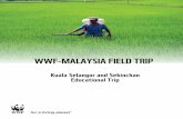 Field Trip Brochure - WWFawsassets.wwf.org.my/.../kuala_selangor_and_sekinchan_field_trip.pdfWWF-Malaysia One-day Field Trip Proposal Agenda for Kuala Selangor and Sekinchan Educational