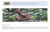 SABAH, MALAYSIA Date - July 2014 - Mammal Watching Sabah 2014.pdf · SABAH, MALAYSIA Date - July 2014 ... wildlife enthusiasts and even the word Borneo conjures an evocative blend