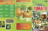 €¦ · iproses meniadi sos. rerdapat beberapa ienis tomato Jiaitu: PENANAMAN DI LADANG Penanaman tomato di ladang boleh dilakukan dengan