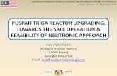 NEUTRONIC APPROACH ON PUSPATI TRIGA … TRIGA REACTOR UPGRADING: ... Panel design with expert ... 10KW-60KW per ring fuel element and for the second case cover the