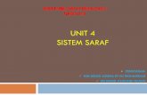 UNIT 4 SISTEM SARAF - yeddah.net 4.pdf · dilakukan oleh sistem saraf lebih cepat tetapi kesan tindakan adalah sekejap ... tengah ke tepi): uppermost cell mgawal kaki manakala lowest