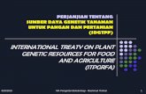 INTERNATIONAL TREATY ON PLANT GENETIC … · singkong dan ubi-jalar) Æ29 tanaman pakan ternak. ... ubi jalar. Lathyrus – grass ... pemanfaatan dalam rangka pemuliaan, penelitian