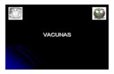 vacunas - [DePa] Departamento de Programas …depa.fquim.unam.mx/bacteriologia/pdfs/vacunas.pdf · del ADN recombinante o por s íntesis ... (E. coli ), o bien, es ... sólo los menores