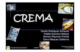 CREMA - [DePa] Departamento de Programas …depa.fquim.unam.mx/amyd/archivero/TEMA1.CREMA_2830.pdf · Crema de leche de vaca (30 % grasa), ácido cítrico, goma guar, carboximetilcelulosa