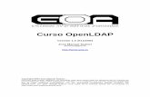 Curso openldap goa 2 - Redes-Linux.comredes-linux.com/manuales/openldap/curso_openldap.pdf · 4.6.2 Arranque del servidor ... Sistema de correo electrónico ... contraseña, su límite