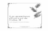 Las gramíneas (P de Cuba, II - bibdigital.rjb.csic.esbibdigital.rjb.csic.es/PDF/Cavan_Alt_03.pdf · CAVANILLESIA ALTERA es una serie de publicaciones independiente que intenta dar