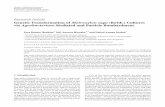Genetic Transformation of Metroxylon sagu (Rottb ... · PDF fileGenetic Transformation of Metroxylon sagu (Rottb.) Cultures via Agrobacterium-Mediated and Particle Bombardment EvraRaunieIbrahim,1