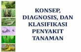 KONSEP, DIAGNOSIS, DAN KLASIFIKASI PENYAKIT TANAMANevan_ramdan.staff.gunadarma.ac.id/Downloads/files/52818/D.+KONSEP... · Whetzel (1929), penyakit adalah suatu proses fisiologi tumbuhan