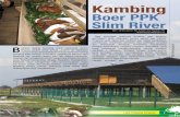 Kambing Boer PPK Slim River - 103.8.163.254103.8.163.254/document/upload/UKzU8d9Mt2ZI2ydkdZhmOtw6RMkoY2zH.pdf · Kangsar Perak, PT Lembah Hijau Multifarm Solo, Indonesia, Projek Kaprima,
