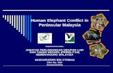 Human Elephant Conflict in Peninsular Malaysia · Human Elephant Conflict in Peninsular Malaysia DISEDIAKAN OLEH; JABATAN PERLINDUNGAN HIDUPAN LIAR DAN TAMAN NEGARA (PERHILITAN) ...