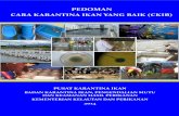 PEDOMAN CARA KARANTINA IKAN YANG BAIK (CKIB)aquaculture-mai.org/wp-content/uploads/2014/05/PEDOMAN_CKIB_338... · pengembangan usaha perikanan di Indonesia. Jakarta, ... untuk ikan