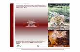 Investigasi Harimau Sumatra di Riau · Indonesia yang telah memberi kepercayaan kepada Yayasan Alam Sumatera untuk melakukan kegiatan ini. ... D. Perburuan dan Perdagangan Harimau